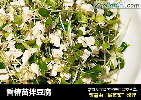 香椿苗拌豆腐