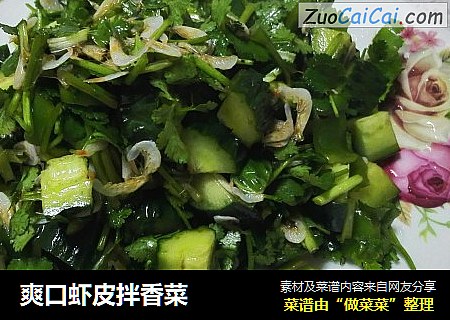 爽口虾皮拌香菜