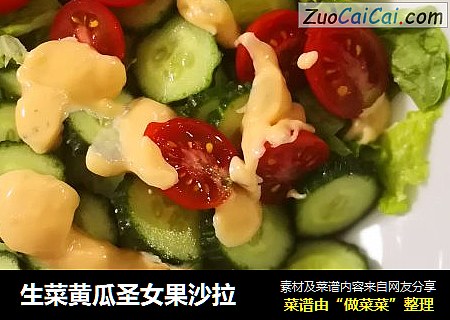 生菜黄瓜圣女果沙拉