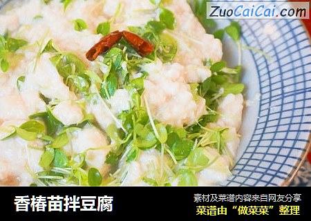 香椿苗拌豆腐