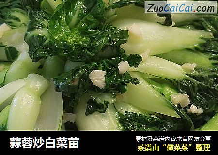 蒜蓉炒白菜苗