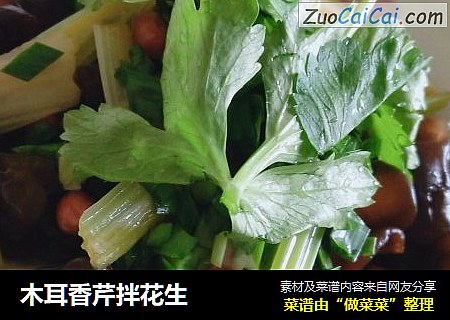 木耳香芹拌花生