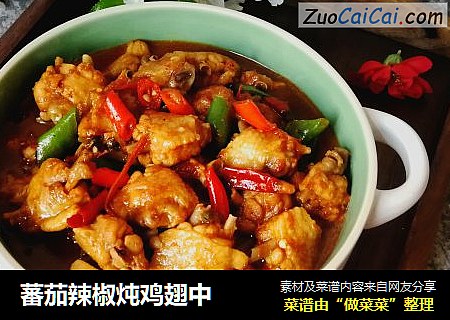蕃茄辣椒炖鸡翅中