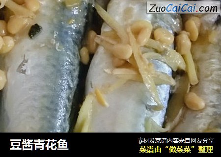 豆酱青花鱼