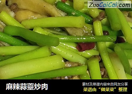麻辣蒜薹炒肉