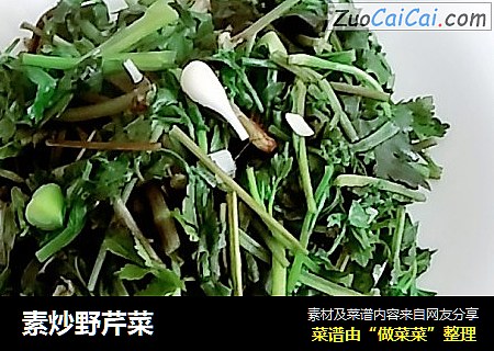 素炒野芹菜