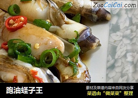 跑油蛏子王