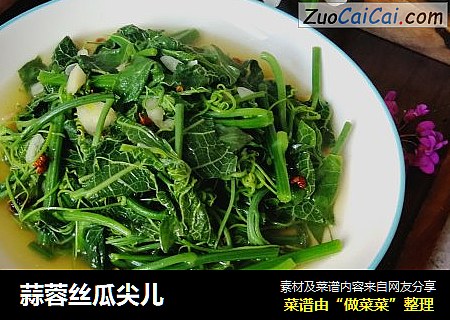 蒜蓉丝瓜尖儿