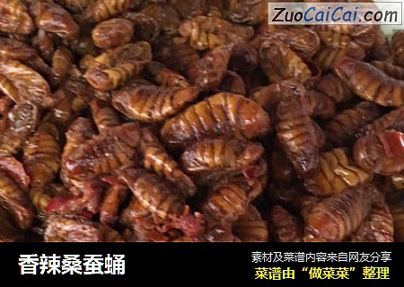 香辣桑蚕蛹