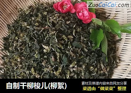 自制干柳梭儿(柳絮)