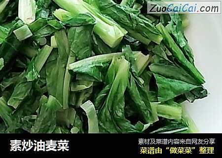 素炒油麦菜