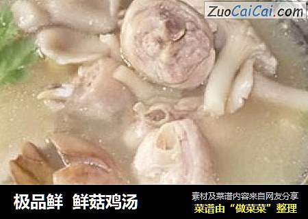 极品鲜鲜菇鸡汤
