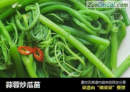 蒜蓉炒瓜苗