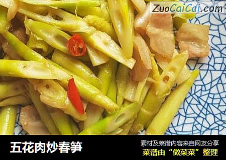五花肉炒春笋