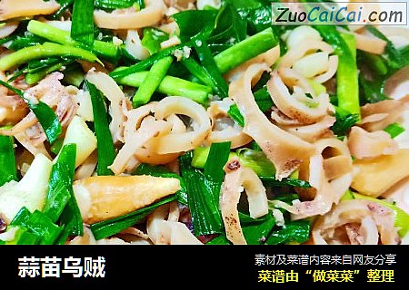 蒜苗乌贼