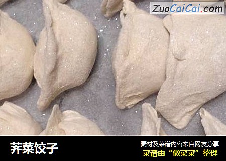 荠菜饺子
