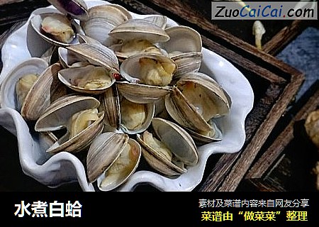 水煮白蛤
