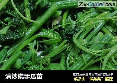 清炒佛手瓜苗