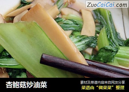 杏鲍菇炒油菜