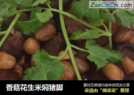 香菇花生米焖猪脚