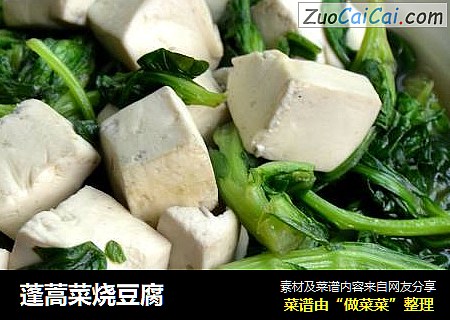 蓬蒿菜烧豆腐