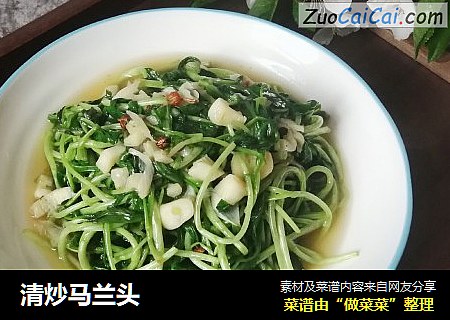 清炒马兰头
