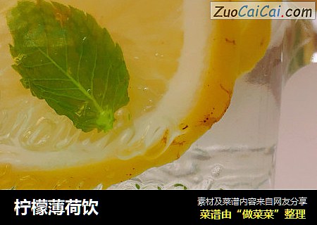 柠檬薄荷饮