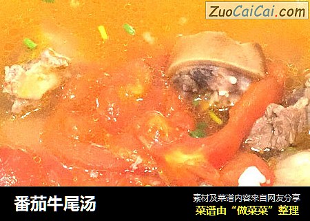 番茄牛尾汤