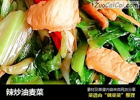 辣炒油麦菜