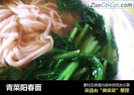 青菜阳春面