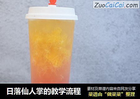 日落仙人掌的教学流程