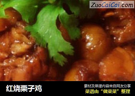 红烧栗子鸡