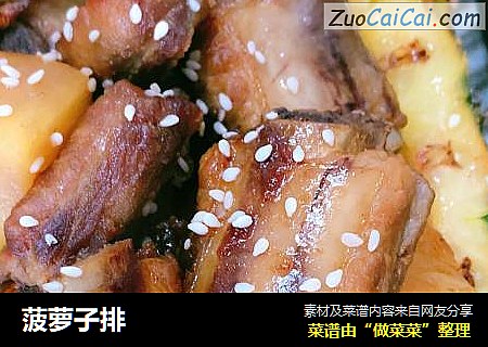 菠萝子排