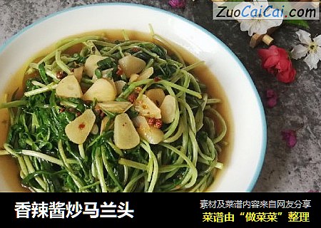 香辣酱炒马兰头