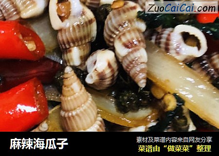 麻辣海瓜子