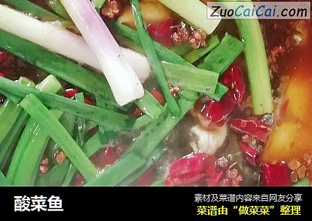 酸菜鱼