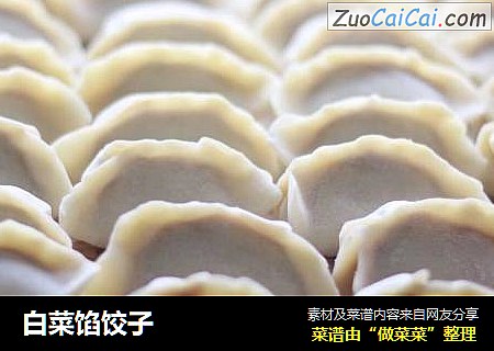 白菜馅饺子