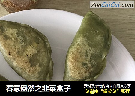 春意盎然之韭菜盒子