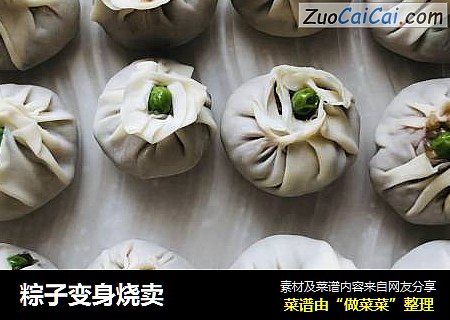 粽子变身烧卖