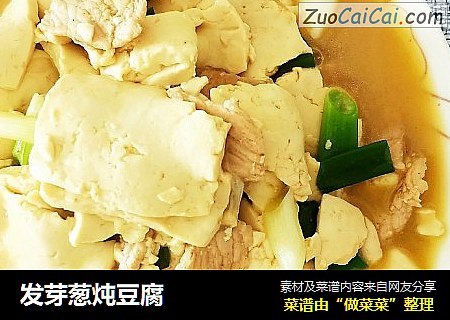 发芽葱炖豆腐