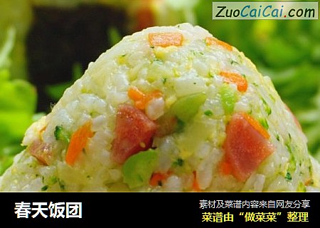 春天饭团