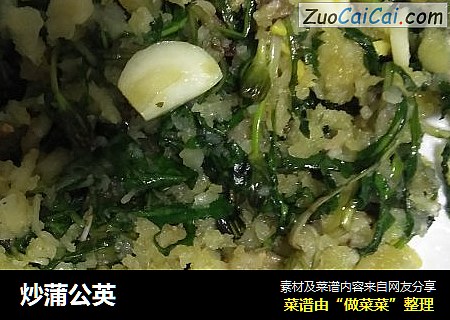 炒蒲公英