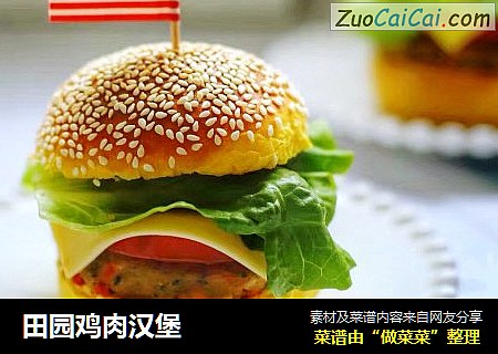 田园鸡肉汉堡