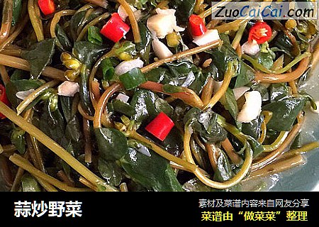 蒜炒野菜