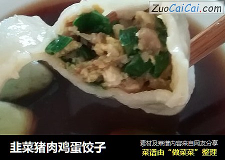 韭菜猪肉鸡蛋饺子