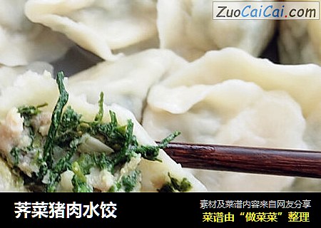 荠菜猪肉水饺