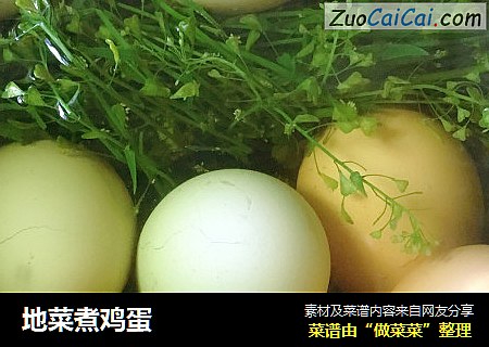 地菜煮鸡蛋