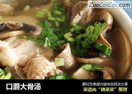 口蘑大骨汤