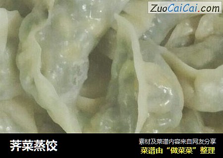 荠菜蒸饺