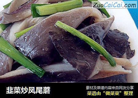韭菜炒凤尾蘑